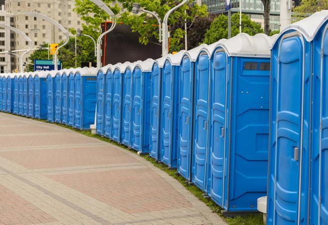 Seasonal porta potty units set up at a Bellingham, Washington venue